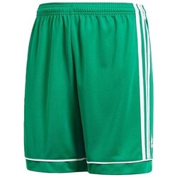Tetriple Rapaz Shorts / Bermudas adidas Originals BK4776 Verde