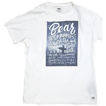 Textil Homem T-Shirt mangas curtas Bear 292019 Branco