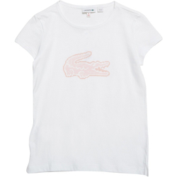 Textil Rapariga T-Shirt mangas curtas Lacoste TJ8048 Branco