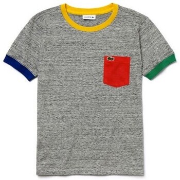 Textil Rapaz T-Shirt mangas curtas Lacoste TJ3871 Cinza