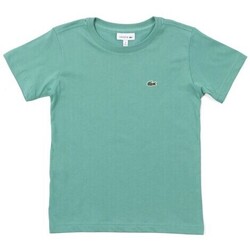 Textil Rapaz T-Shirt mangas curtas Lacoste TJ3821 Verde