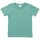 Textil Rapaz T-Shirt mangas curtas Lacoste TJ3821 Verde