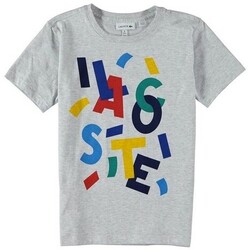 Textil Rapaz T-Shirt mangas curtas Lacoste TJ6181 Cinza