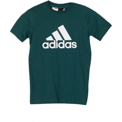 Tetriple Rapaz T-Shirt mangas curtas adidas Originals DJ1773 Verde