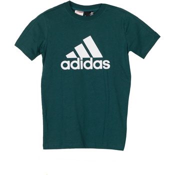 Textil Rapaz T-Shirt mangas Zyons strakke adidas Originals DJ1773 Verde