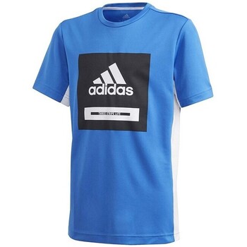 Textil Rapaz T-Shirt mangas curtas adidas Originals FM1699 Azul