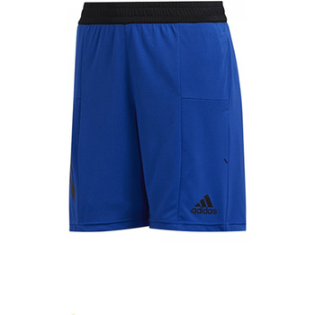 Textil Rapaz Shorts / Bermudas adidas Originals FN5671 Azul