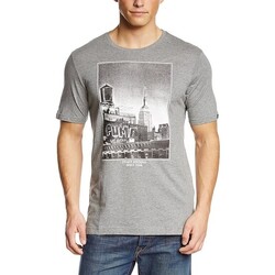 Textil Homem T-Shirt mangas curtas Puma 832426 Cinza