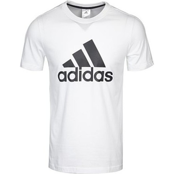 Textil Rapaz T-Shirt mangas Zyons strakke adidas Originals BK3488 Branco