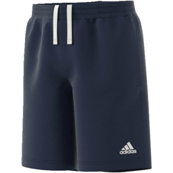 Textil Rapaz Shorts / Bermudas adidas Originals BP8790 Azul
