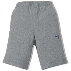 Textil Rapaz Shorts / Bermudas Puma 832699 Cinza