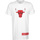 Textil Homem T-Shirt mangas curtas New-Era 12195402 Branco