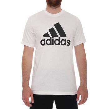 Textil Homem T-Shirt mangas curtas adidas Originals GC7348 Branco