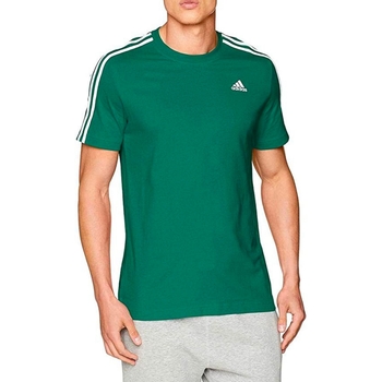 Textil Homem T-Shirt mangas curtas Junior adidas Originals CZ7342 Verde