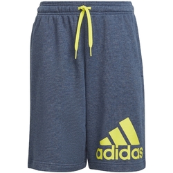 Textil Rapaz Shorts / Bermudas adidas Originals GN4032 Azul