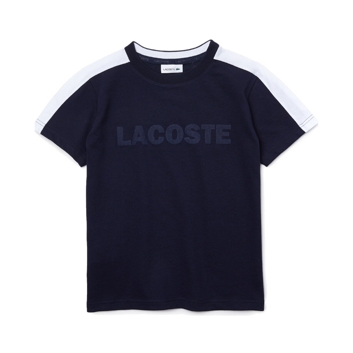 Textil Rapaz T-Shirt mangas curtas Lacoste TJ0840 Azul