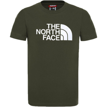 Textil Rapaz T-Shirt mangas curtas The North Face NF00A3P7 Cinza