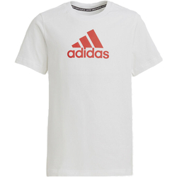 Textil Rapaz T-Shirt mangas curtas adidas Originals GJ6649 Branco