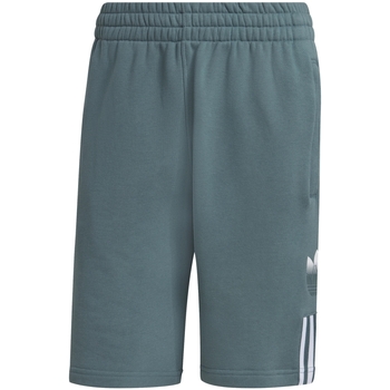 Textil Homem Shorts / Bermudas adidas Originals GN3591 Verde