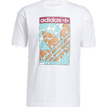 Textil Homem T-Shirt mangas curtas adidas Originals GN3900 Branco