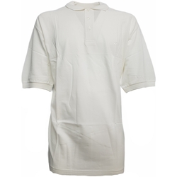 Textil Homem Polos mangas curta Invicta A50095 Branco