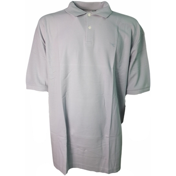 Textil Homem Polos mangas curta T-shirt Diadora 104024 Cinza