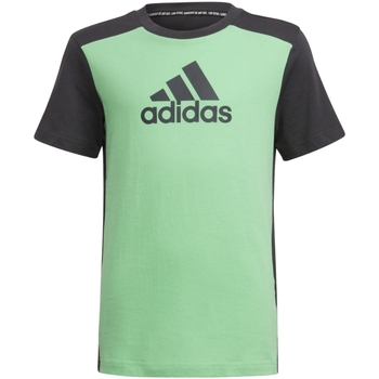 Textil Rapaz T-Shirt mangas curtas adidas Originals H28891 Verde