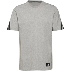 Textil Homem T-Shirt mangas curtas adidas Originals H39784 Cinza