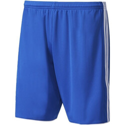 Textil Rapaz Shorts / Bermudas adidas Originals BJ9131 Azul