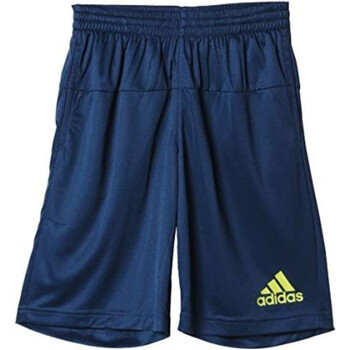 Textil Rapaz Shorts / Bermudas adidas Originals AK2674 Azul