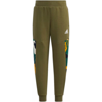 Textil Rapaz Calças adidas pants Originals H40306 Verde