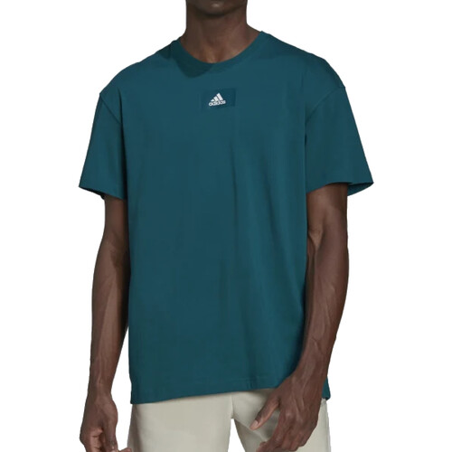 Textil Homem T-Shirt mangas curtas spezial adidas Originals HE4356 Verde