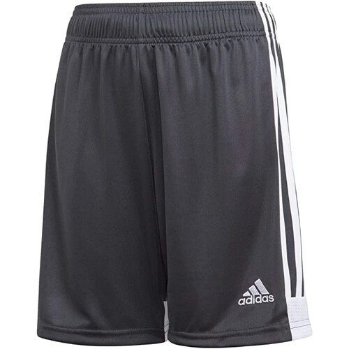 Textil Homem Shorts / Bermudas indoor adidas Originals DP3255 Cinza