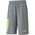 Textil Homem Shorts / Bermudas Puma 847391 Cinza