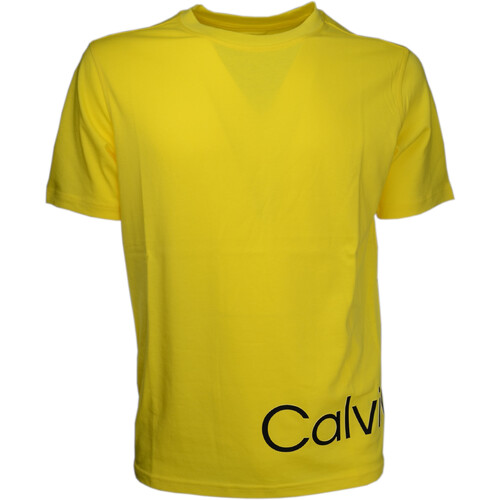 Textil Homem T-Shirt mangas curtas Calvin Klein Jeans 00GMS2K111 Amarelo