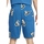 Textil Homem Shorts / Bermudas Nike DM6887 Azul