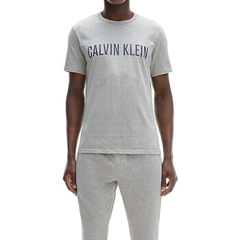 Textil Homem T-Shirt mangas curtas Calvin Logo Klein Jeans 000NM1959E Cinza