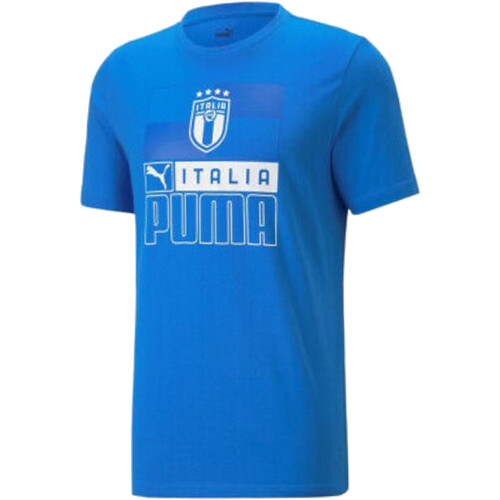 Textil Homem T-Shirt mangas curtas Puma 767122 Azul