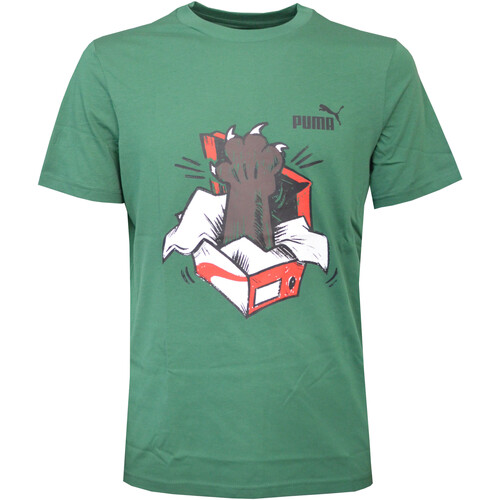 Textil Homem T-Shirt mangas curtas Puma 674478 Verde