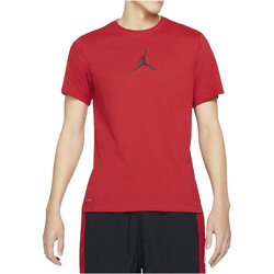 Textil Homem T-Shirt mangas curtas Nike CW5190 Vermelho