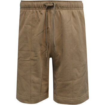 Textil Homem Shorts / Bermudas Calvin Klein Jeans Moon 00GMS3S805 Verde