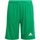 Textil Rapaz Shorts / Bermudas adidas Jacket Originals GN5762 Verde