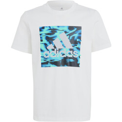 Textil Rapaz T-Shirt mangas curtas adidas Originals IB9140 Branco