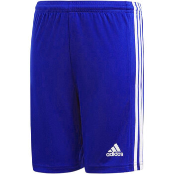 Textil Rapaz Shorts / Bermudas mulher adidas Originals GK9156 Azul
