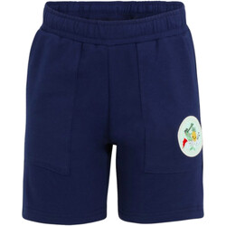 Textil Rapaz Shorts / Bermudas Fila FAK0188 Azul