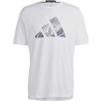 Textil Homem T-Shirt mangas curtas adidas Originals IB7921 Branco