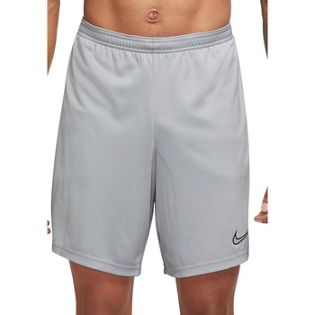 Textil Homem Shorts / Bermudas Adance Nike DV9742 Cinza