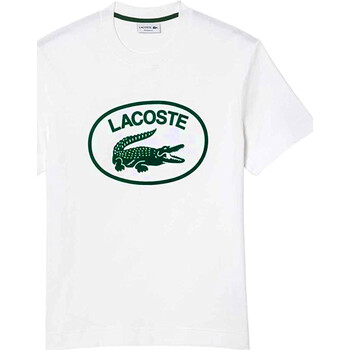 Textil Homem T-Shirt mangas curtas Lacoste TH0244 Branco