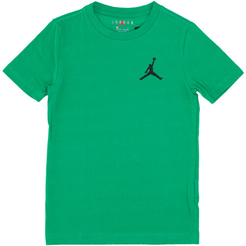 Textil Rapaz T-Shirt mangas zapatillass Nike 95A873 Verde