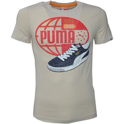 Textil Homem T-Shirt mangas curtas Puma 564696 Bege